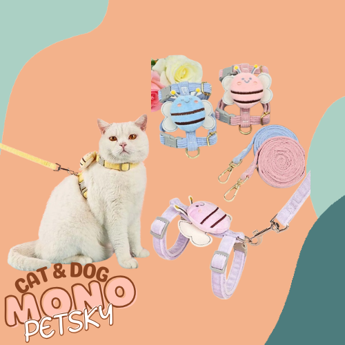 Dây dắt yếm hình dễ thương cho thú cưng có size