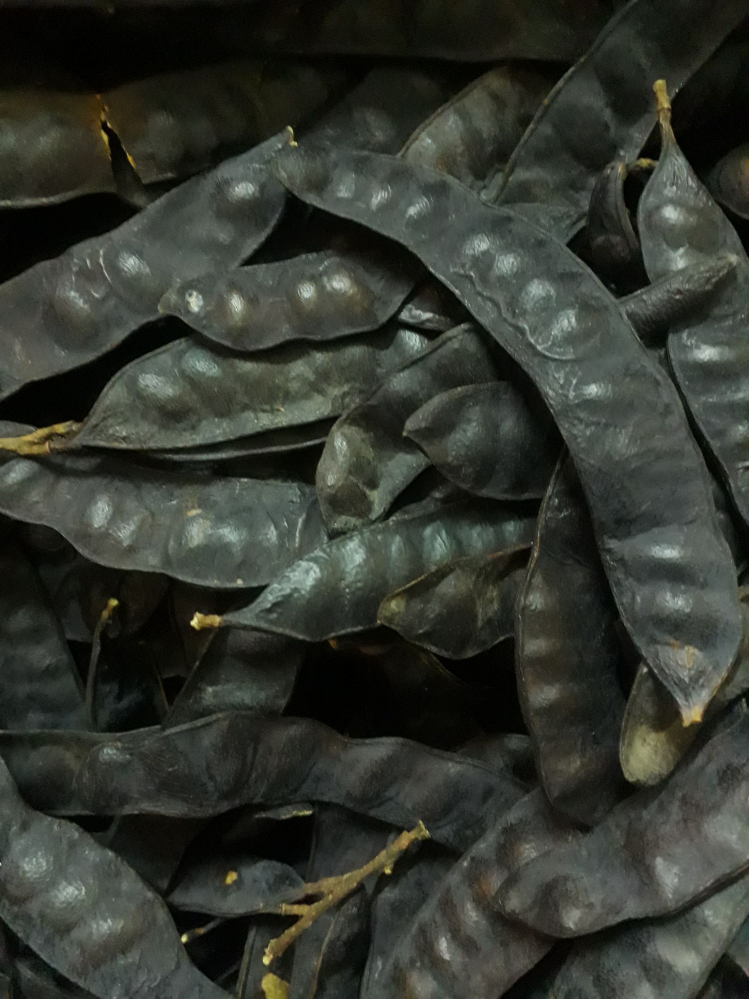 Combo nguyên liệu nấu dầu gội gồm 500g Bồ kết, 200g Hương nhu khô, 200g Bạc hà khô, 200g Bồ hòn tách hạt, 100g Cỏ Mần Trầu Khô