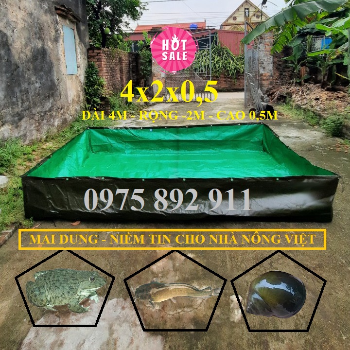 Bể bạt nuôi ốc ếch cá lươn - xanh bộ đội