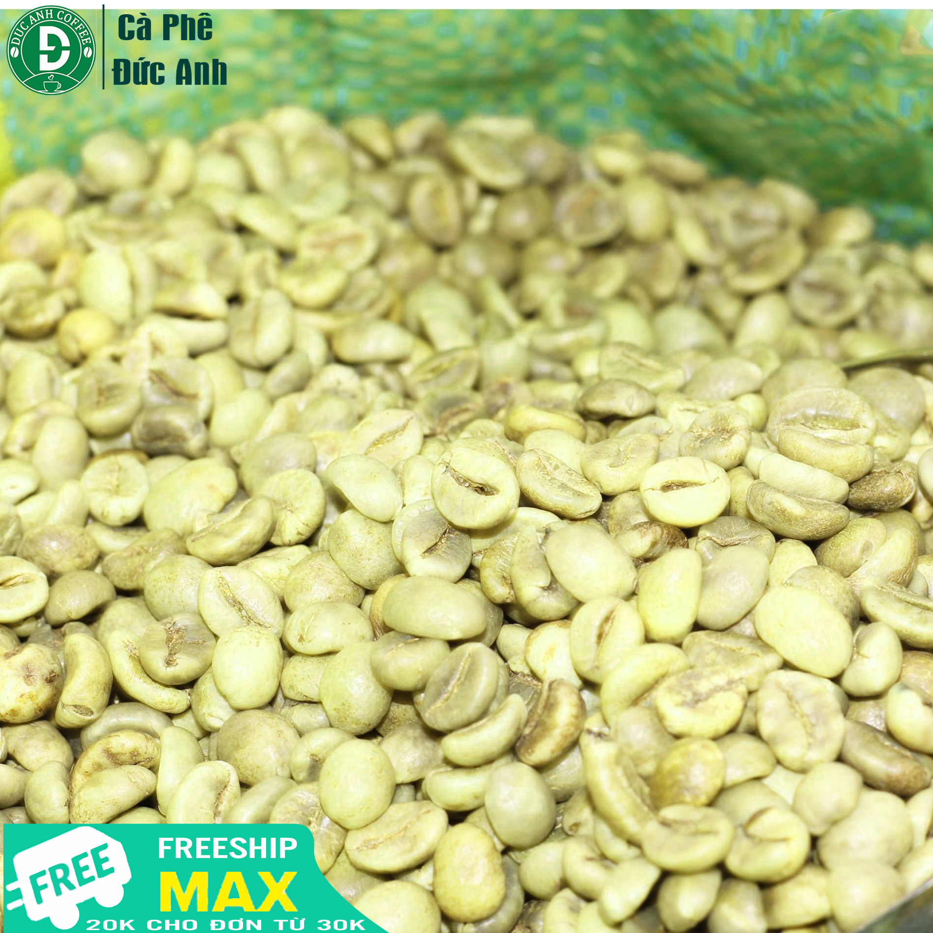 Bịch 5kg cà phê nhân sống chưa rang robusta Cưmgar sạch đẹp, tỉ lệ chín cao
