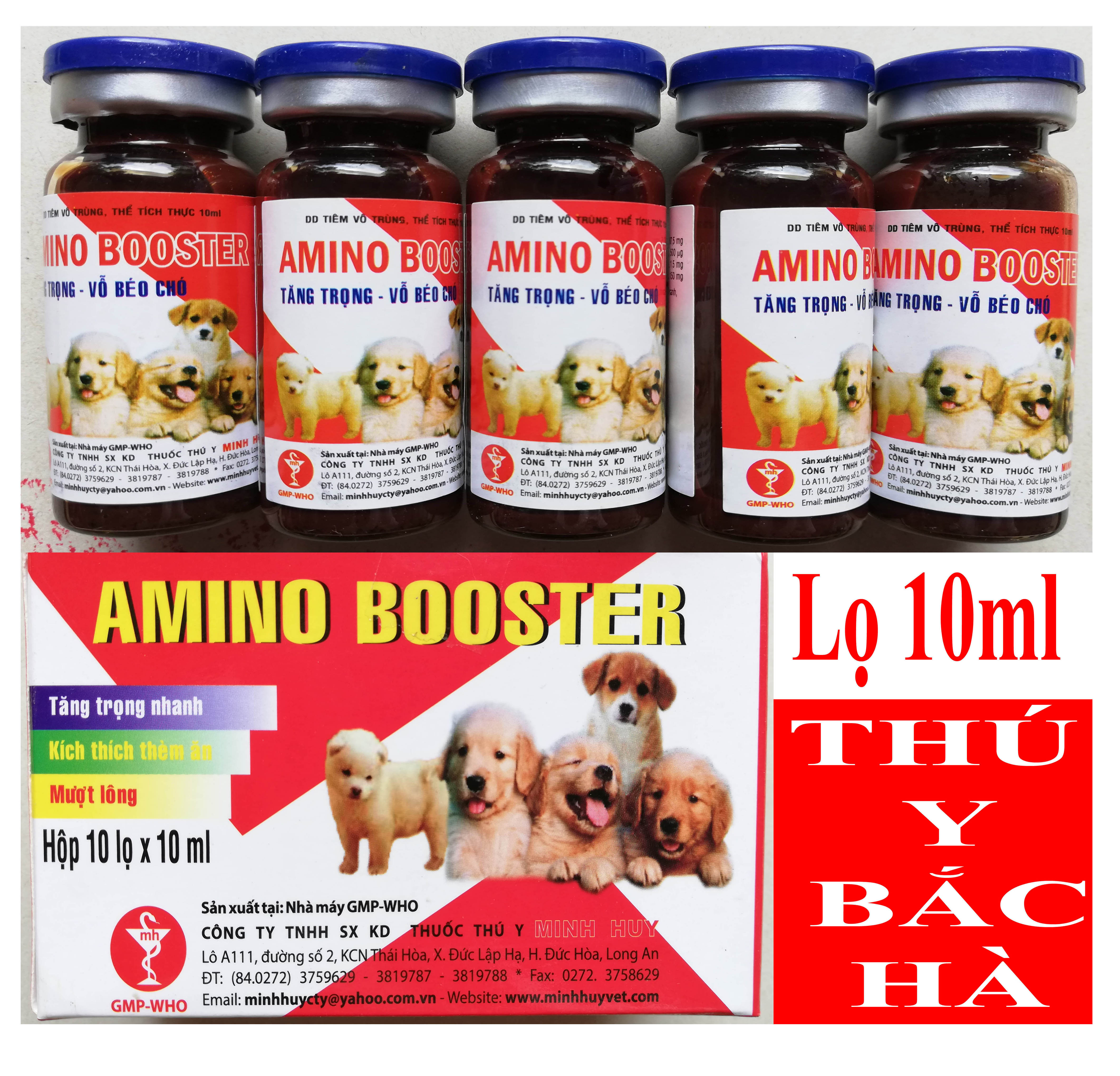 5 lọ Tăng trọng vỗ béo kích sữa cho chó, mèo amino bootster 10ml
