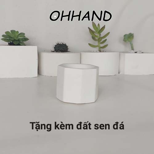 Chậu trồng cây bát giác sen đá, chậu xi măng sen đá