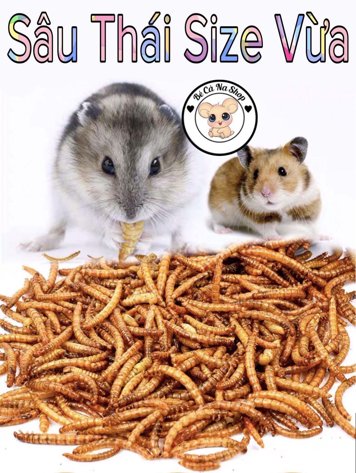 Sâu thái trung rang bơ cho hamster rất thích và mê . thức ăn ngon cho hamster, thỏ bọ sóc...(bé cà na)