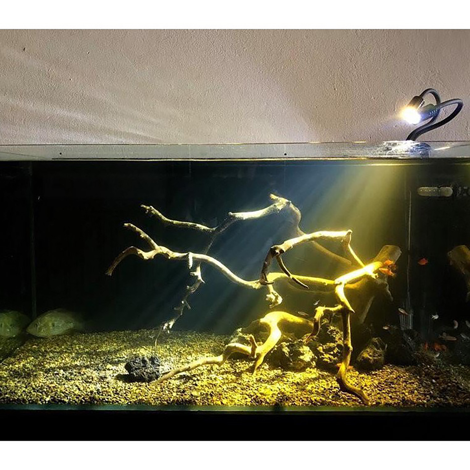 Đèn rọi thủy sinh 3 chế độ giúp lên màu cho cá - đèn rọi biotope - đèn rọi giả lập tia sáng mặt trời