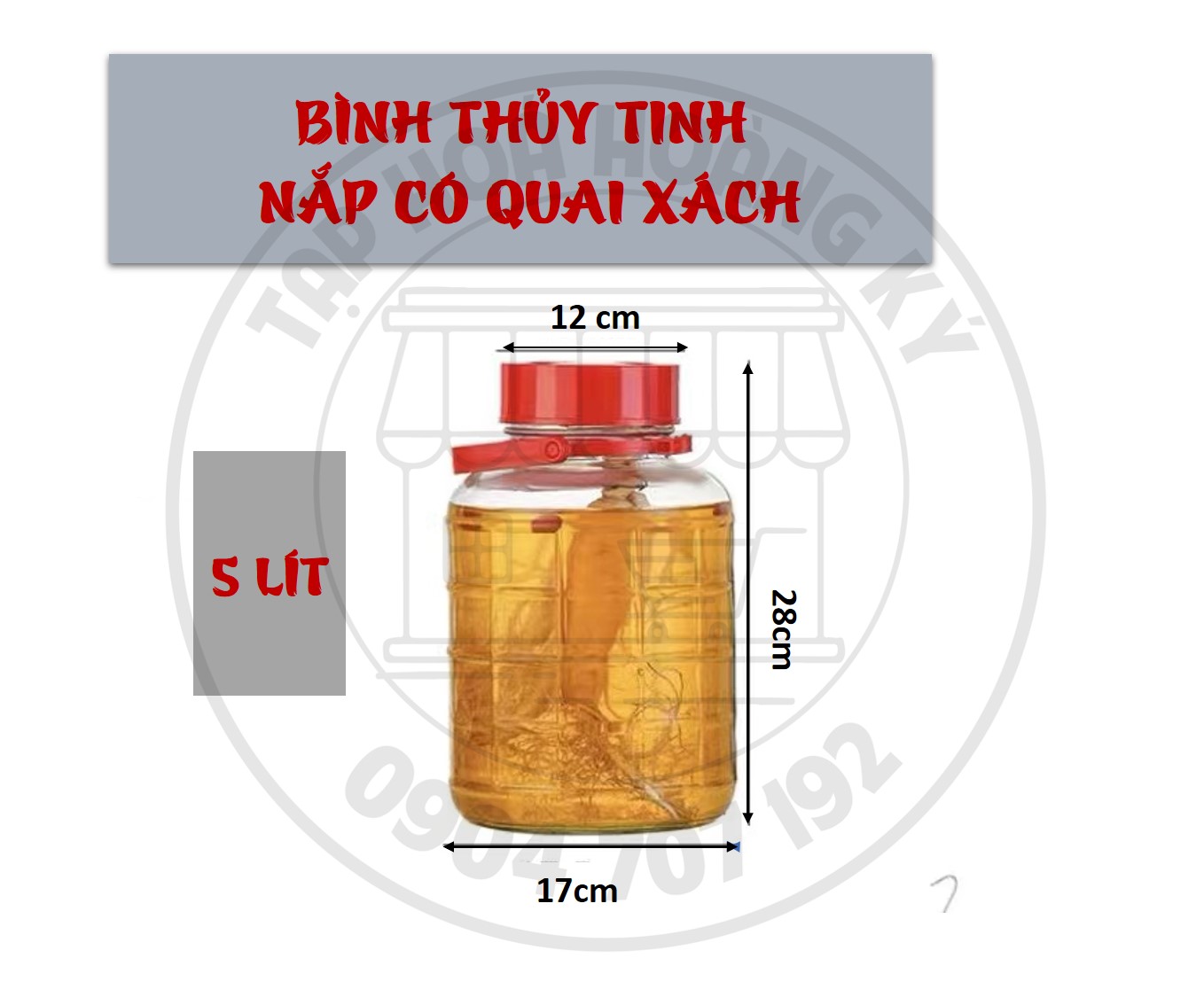Bình Thủy tinh - Nắp có quai xách - Dung tích 5 lít