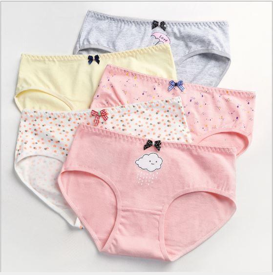 Set 5 quần lót nữ thun contton ca0 cấp
