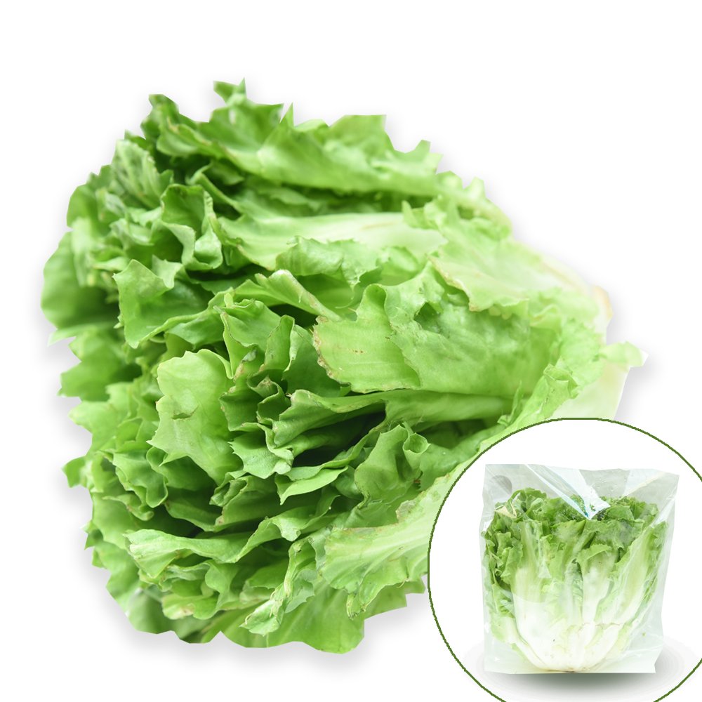 1gr - hạt giống xà lách giòn carol