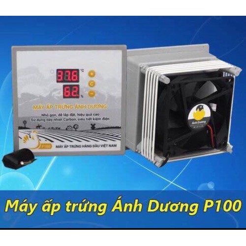 Máy ấp trứng gà mini P100 - Ánh Dương - Tặng gói úm cao cấp và Sách hướng dẫn