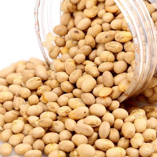 1KG Đậu Nành Sấy Giòn-VSATTP