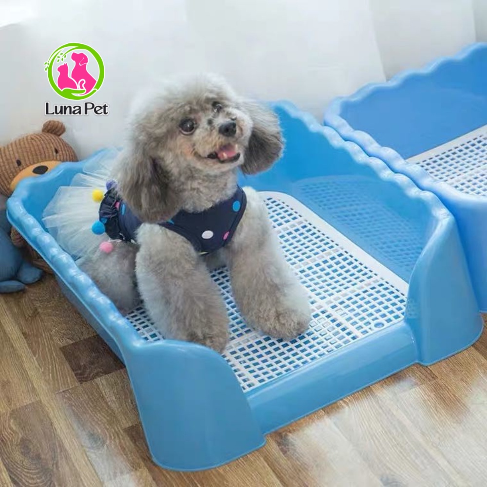 Khay vệ sinh cho chó thành cao tặng kèm cột Luna Pet KC01