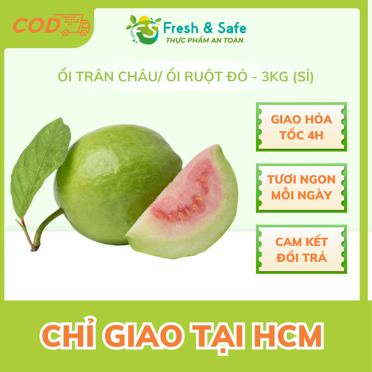 [Chỉ Giao HCM] Ổi trân châu/Ổi ruột đỏ - 3kg (sỉ)