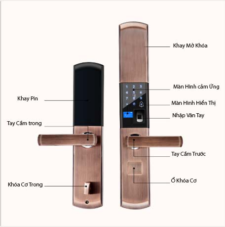 KHÓA CỬA VÂN TAY GIÁ RẺ Smart Lock SL01
