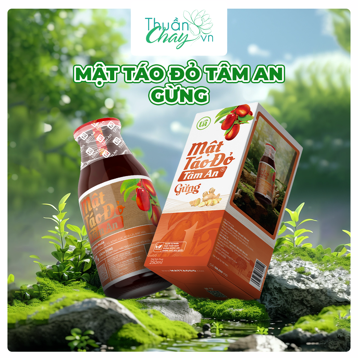 MẬT TÁO ĐỎ TÂM AN GỪNG - 250ml