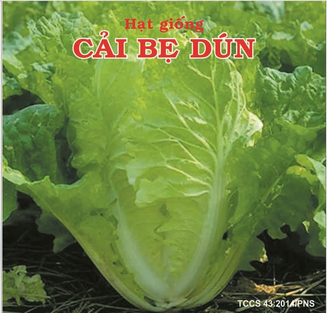 CẢI BẸ DÚN PHÚ NÔNG _GÓI 20GRAM CHẤT LƯỢNG TỐT .