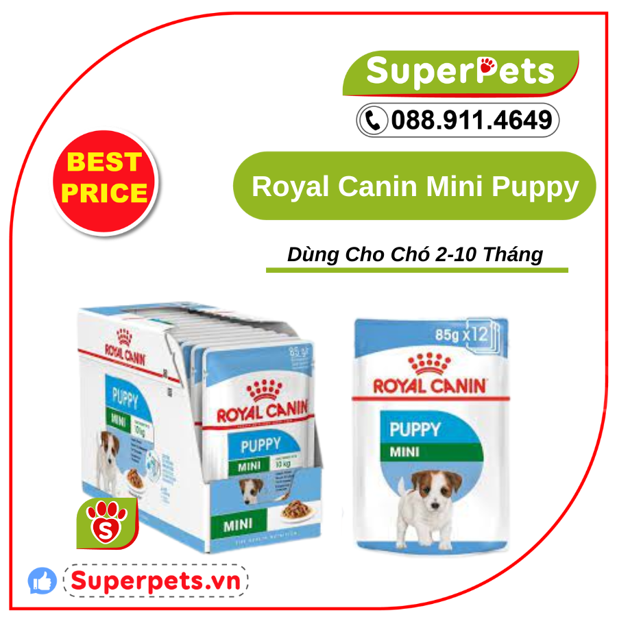 85g pate royal canin mini puppy cho chó con giống nhỏ 85g superpets việt nam