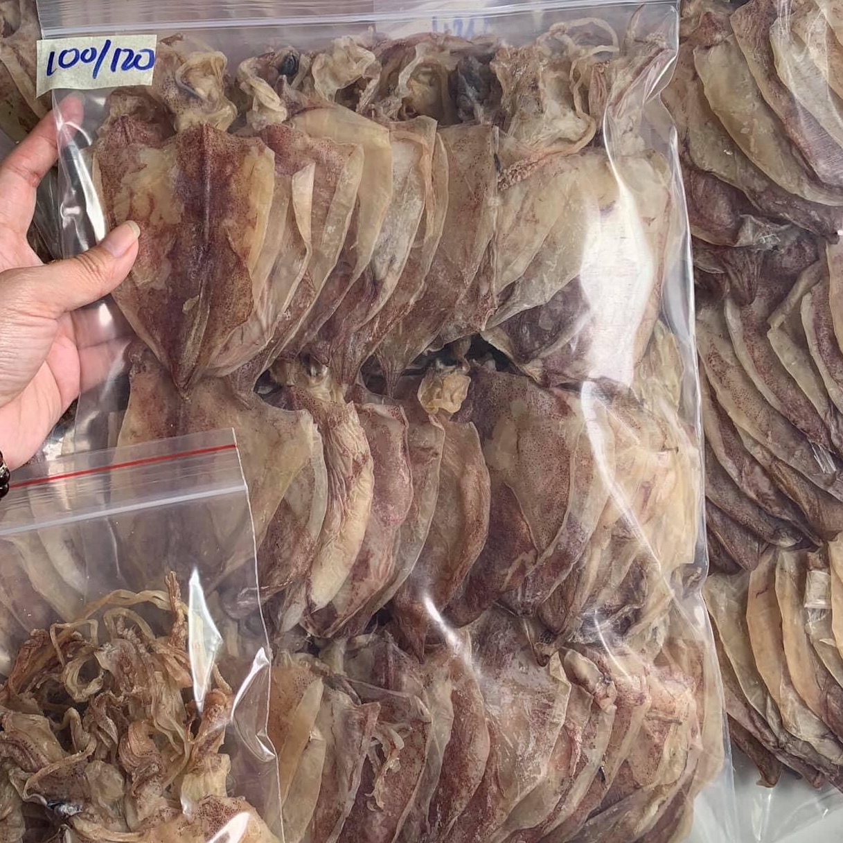 Mực size 100/120