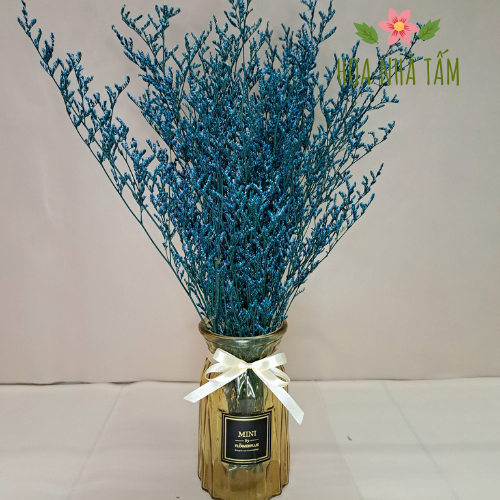Hoa sao đuôi công khô - decor, handmade resin Hoa Nhà Tấm