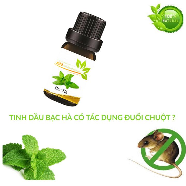 Tinh dầu bạc hà zito - tinh dầu nguyên chất xông phòng