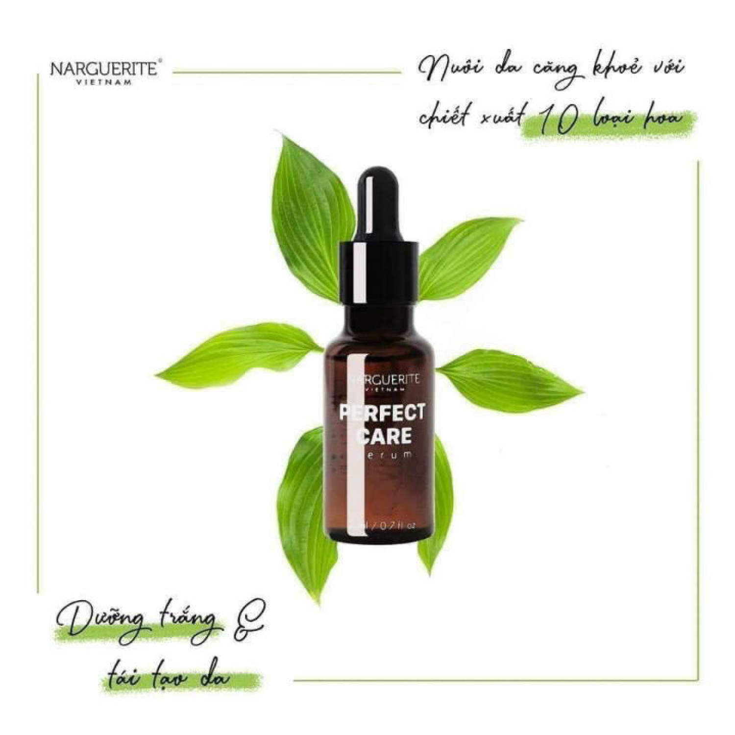 Serum ốc sên perfect care narguerite giúp da trắng khỏe, hồi phục da 20ml