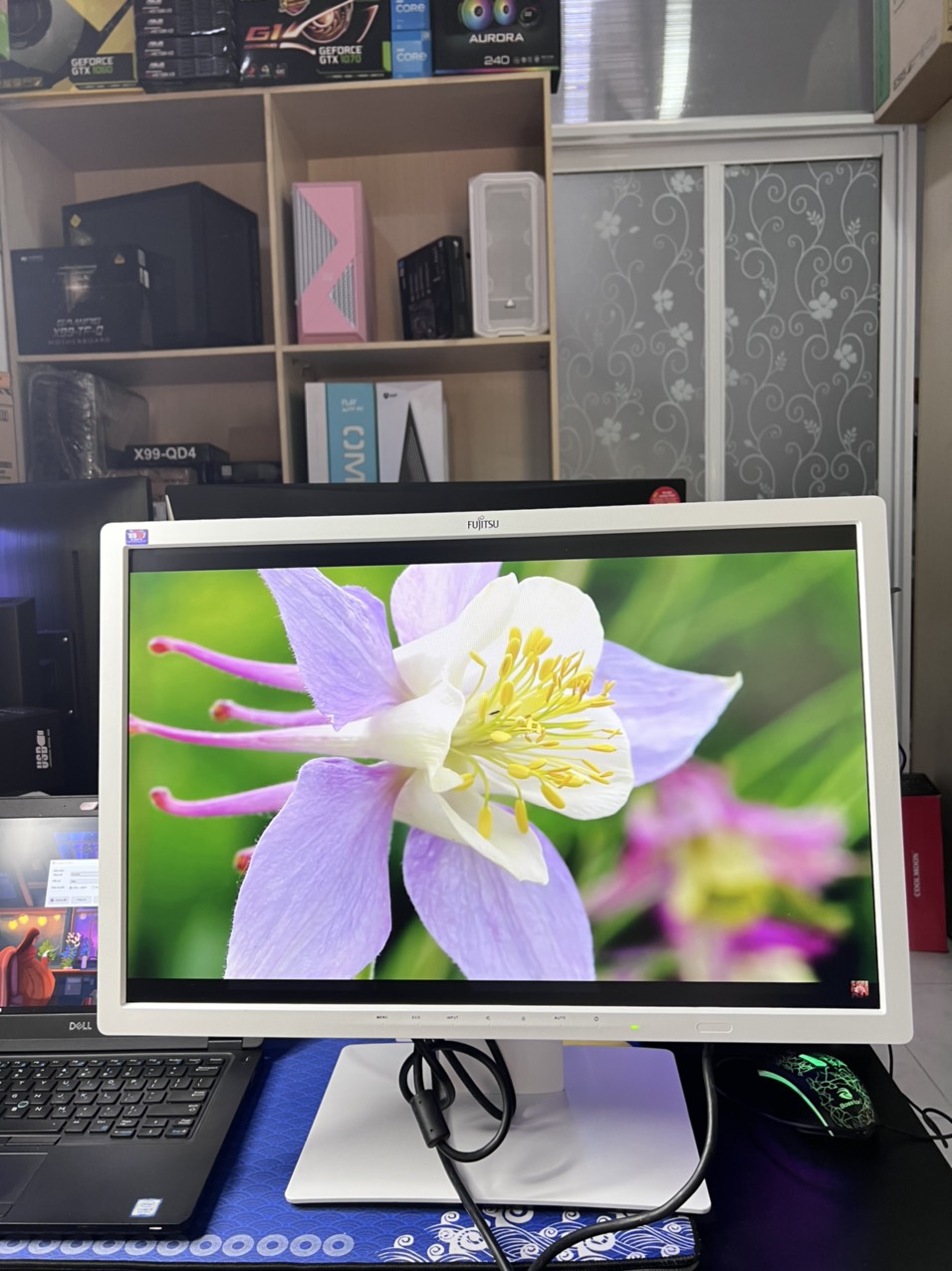 Màn hình chuyên đồ họa 24 inch Fujitsu Display B24W-7 FHD IPS CÓ LOA