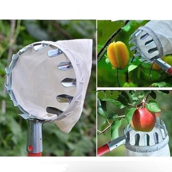 Đầu vợt hái trái cây, đầu vợt hái hoa quả