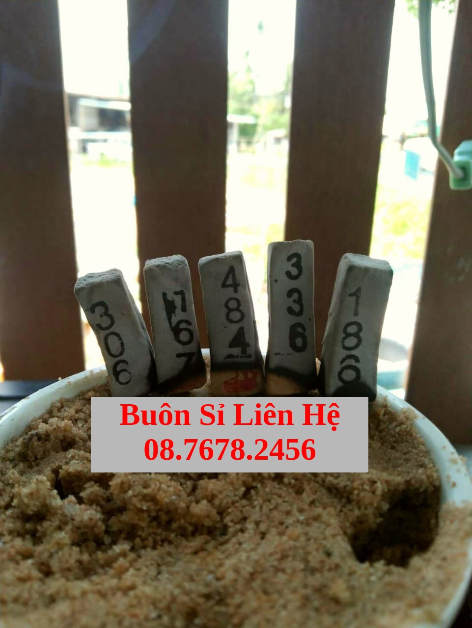 Túi Nhang xin số đề (bịch 10 viên tặng 1 viên) tài lộc đã phép hương dâng số, hương mang lại may mắn