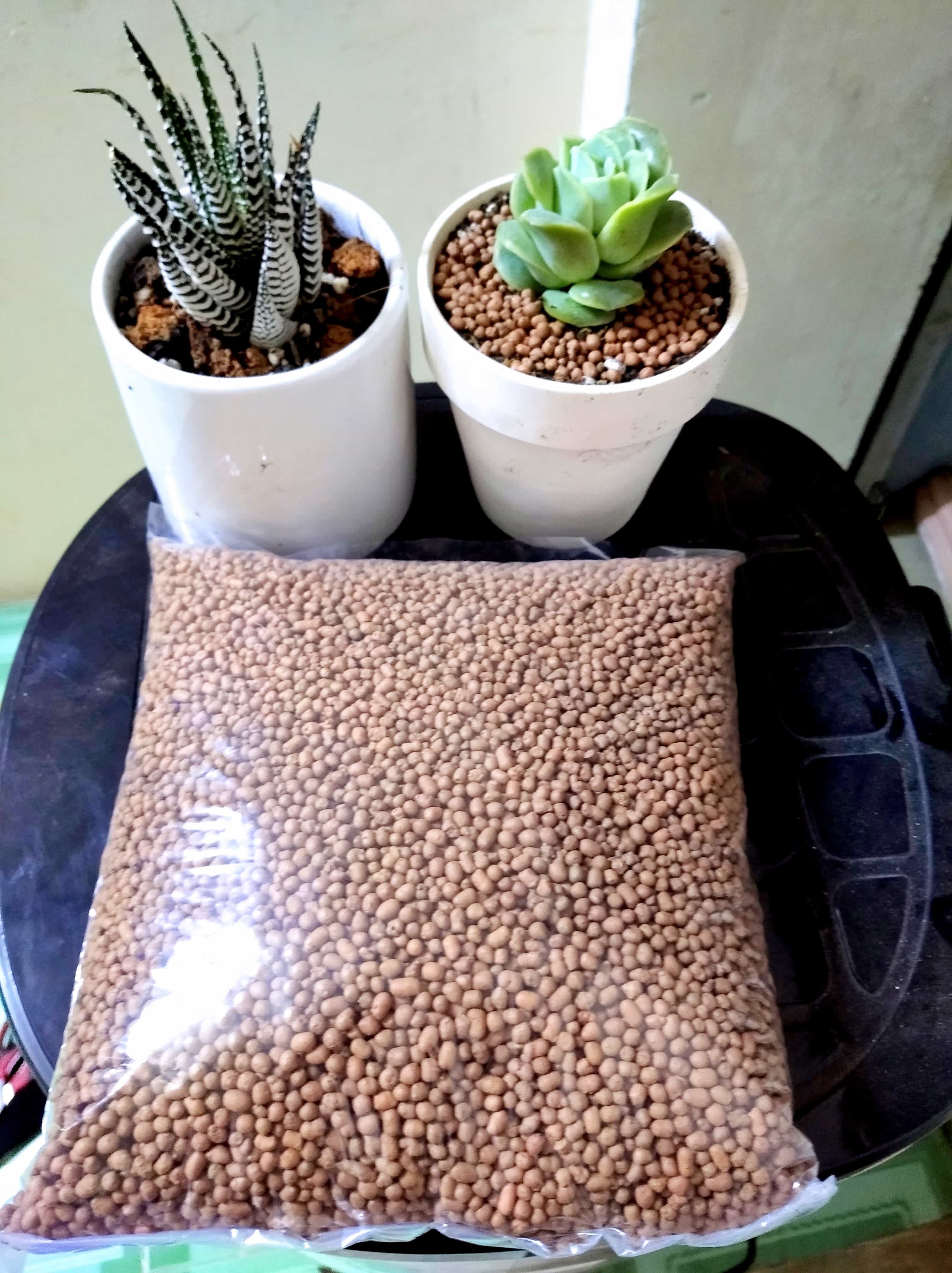 [HCM]Đất sét nung sỏi nhẹ trồng sen đá xương rồng Thái lan size S 1kg