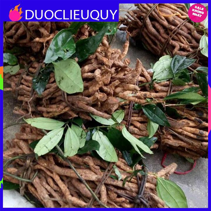 sâm xuyên đá tươi 1kg