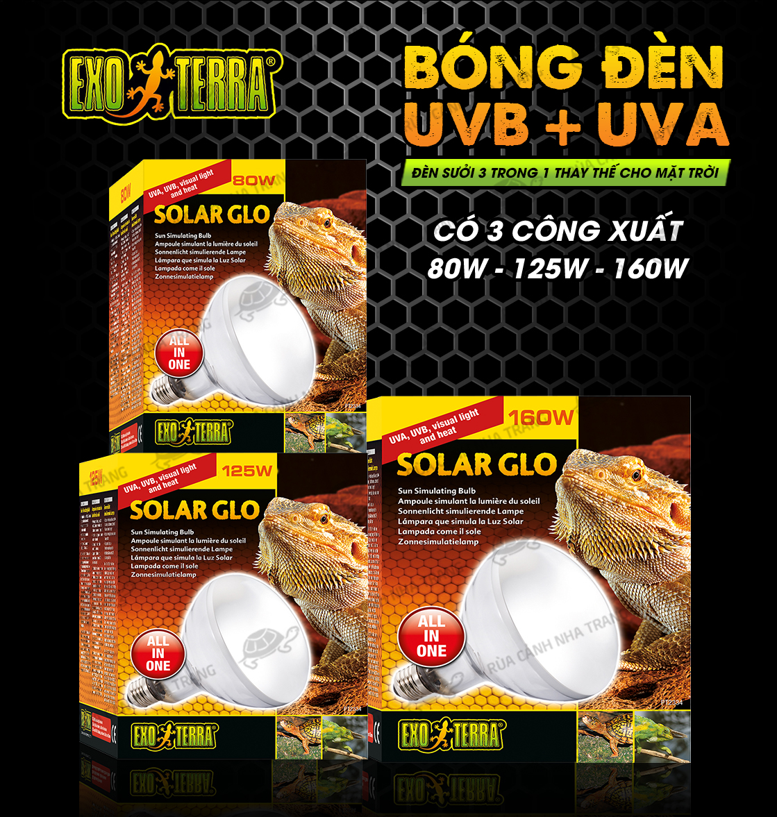 ĐÈN SOLAR 3 TRONG 1 EXO-TERRA SƯỞI THÚ CƯNG BÒ SÁT,  BÓNG ĐÈN SƯỞI THAY THẾ MẶT TRỜI