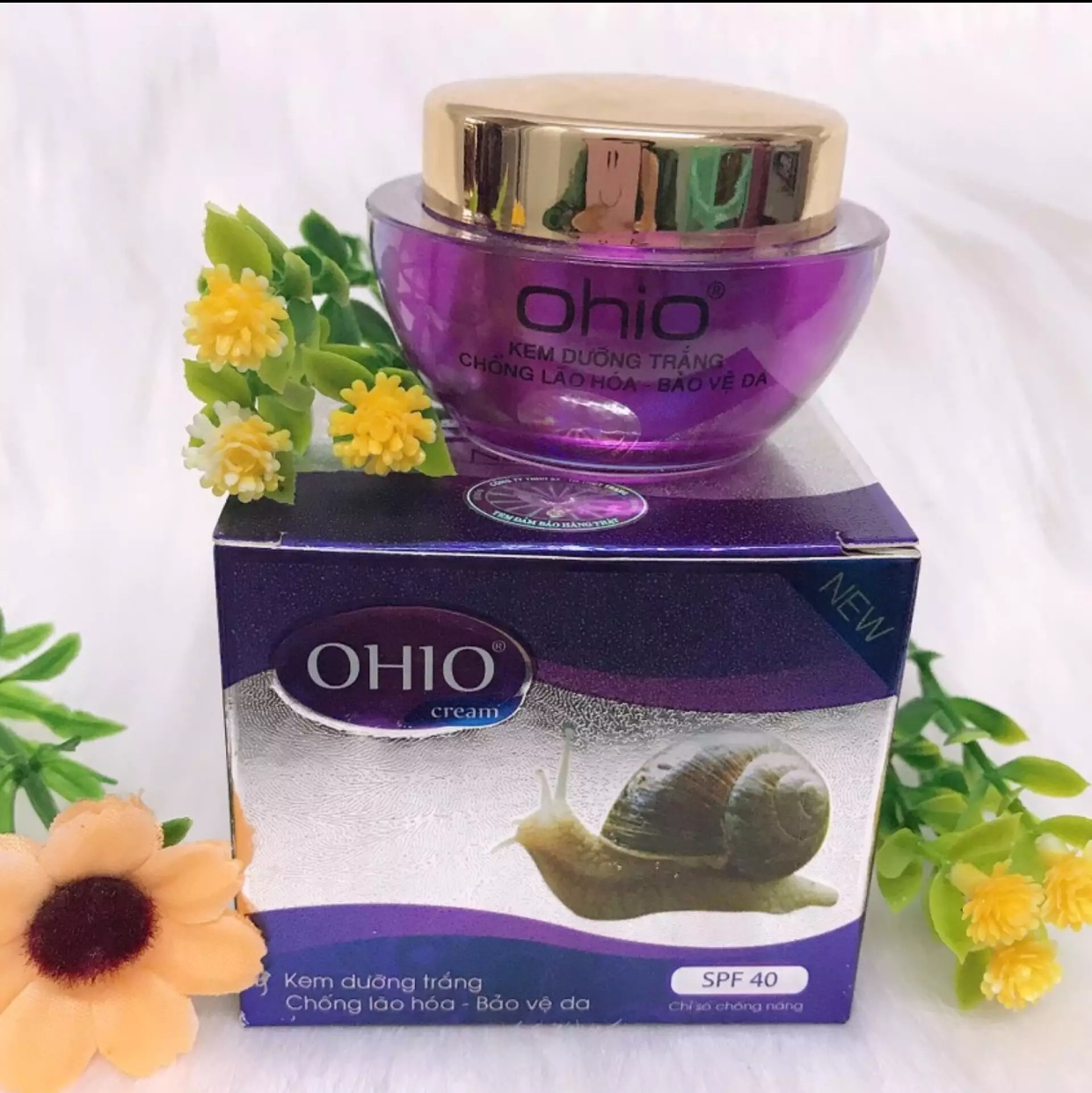 [HCM]Kem dưỡng trắng chống lão hóa bảo vệ da OHIO Ốc Sên New Day (20g)