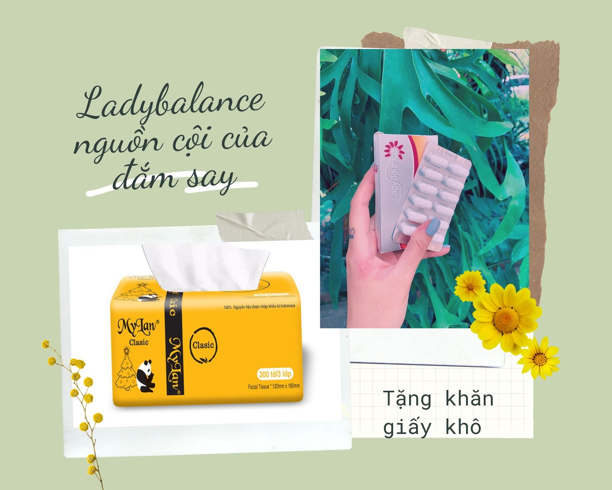 Viên đặt phụ khoa ladybalance