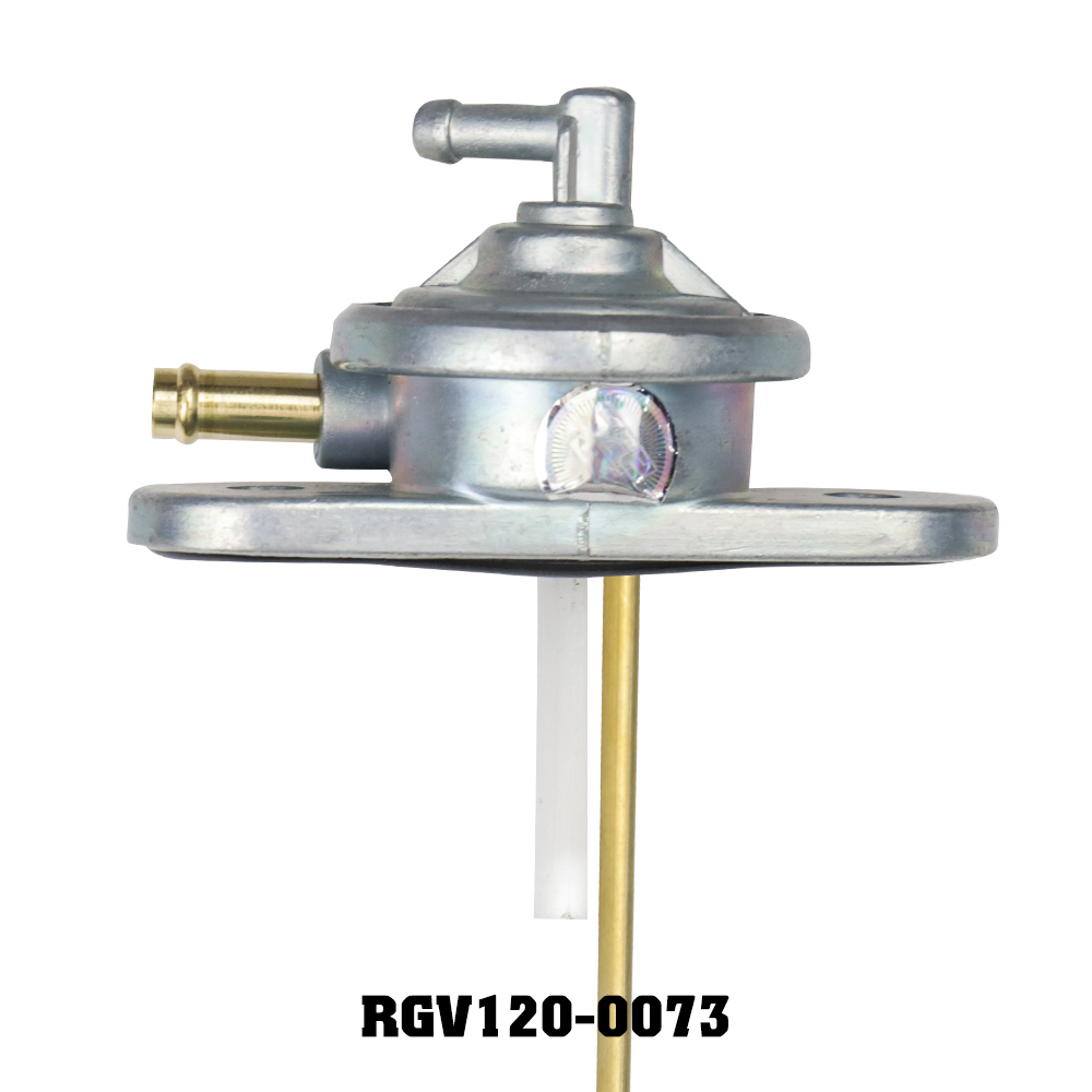 Bơm xăng rgv rgv120-0074