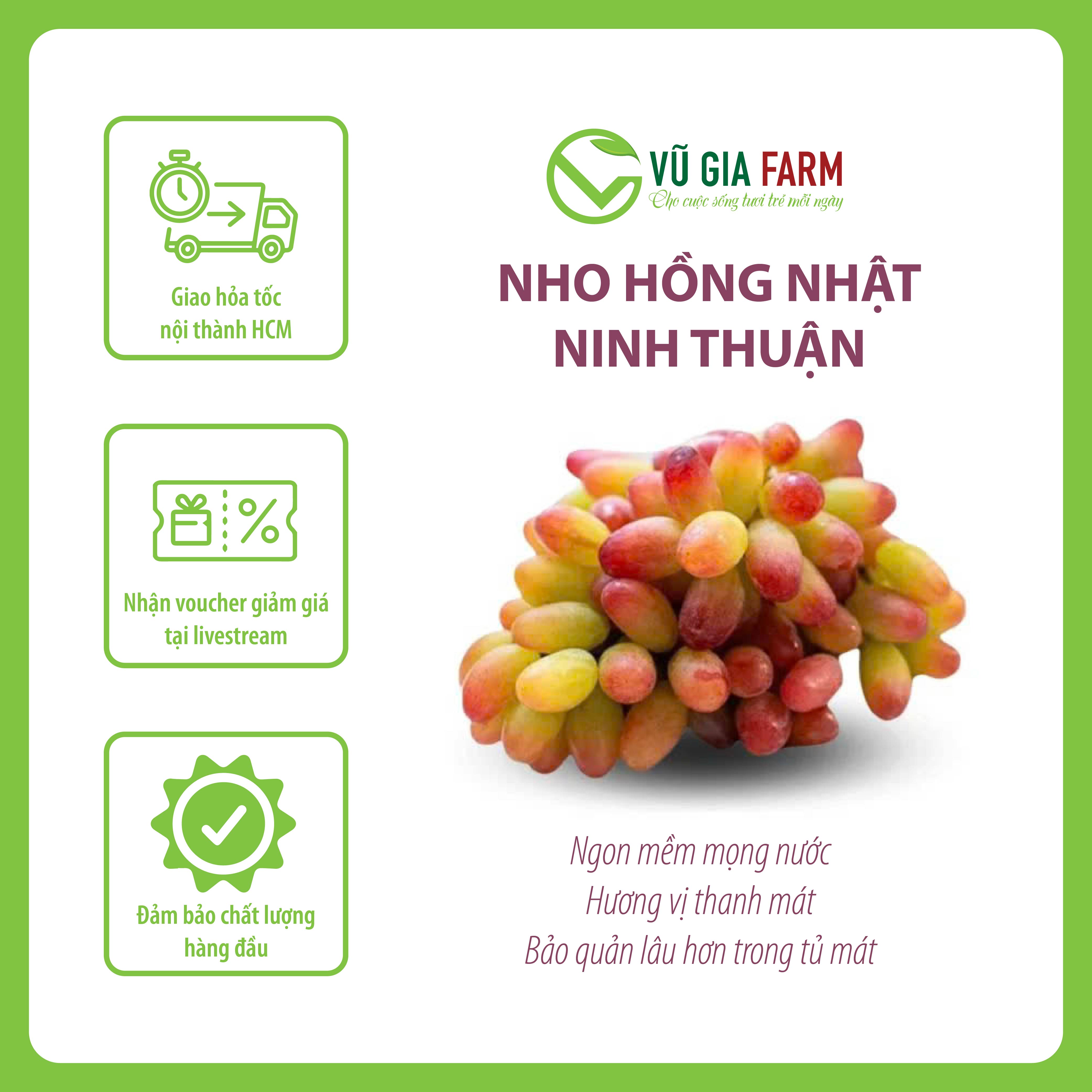 Nho Hồng Nhật Ninh Thuận Loại 1 - ngon giòn ngọt, ít hạt