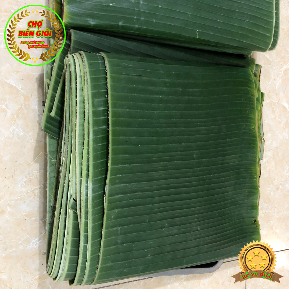 Lá chuối tươi châu đốc dùng gói các loại bánh miền tây gói 1 kg