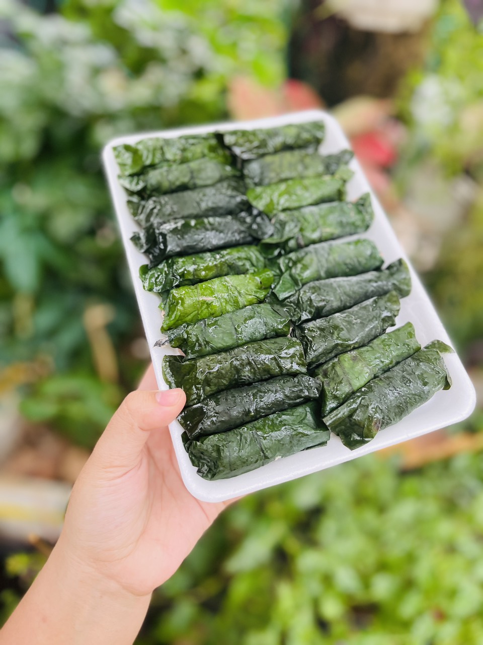 Giá sỉ 1 vĩ bò lá lốt - hải sản kỳ hà