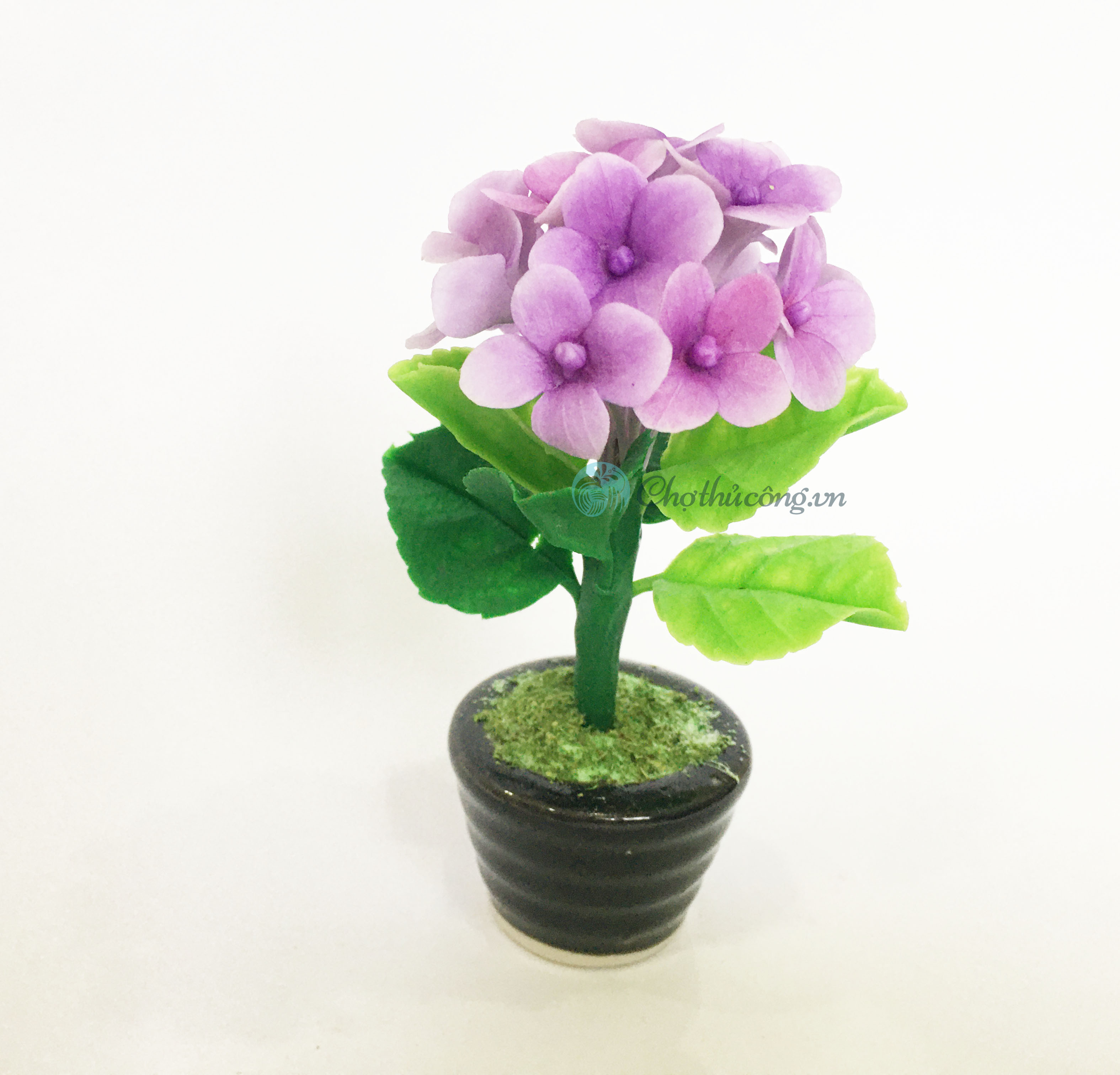 Chậu hoa đất sét mini - Cây cẩm tú cầu / cây hoa tử dương - Quà tặng trang trí handmade