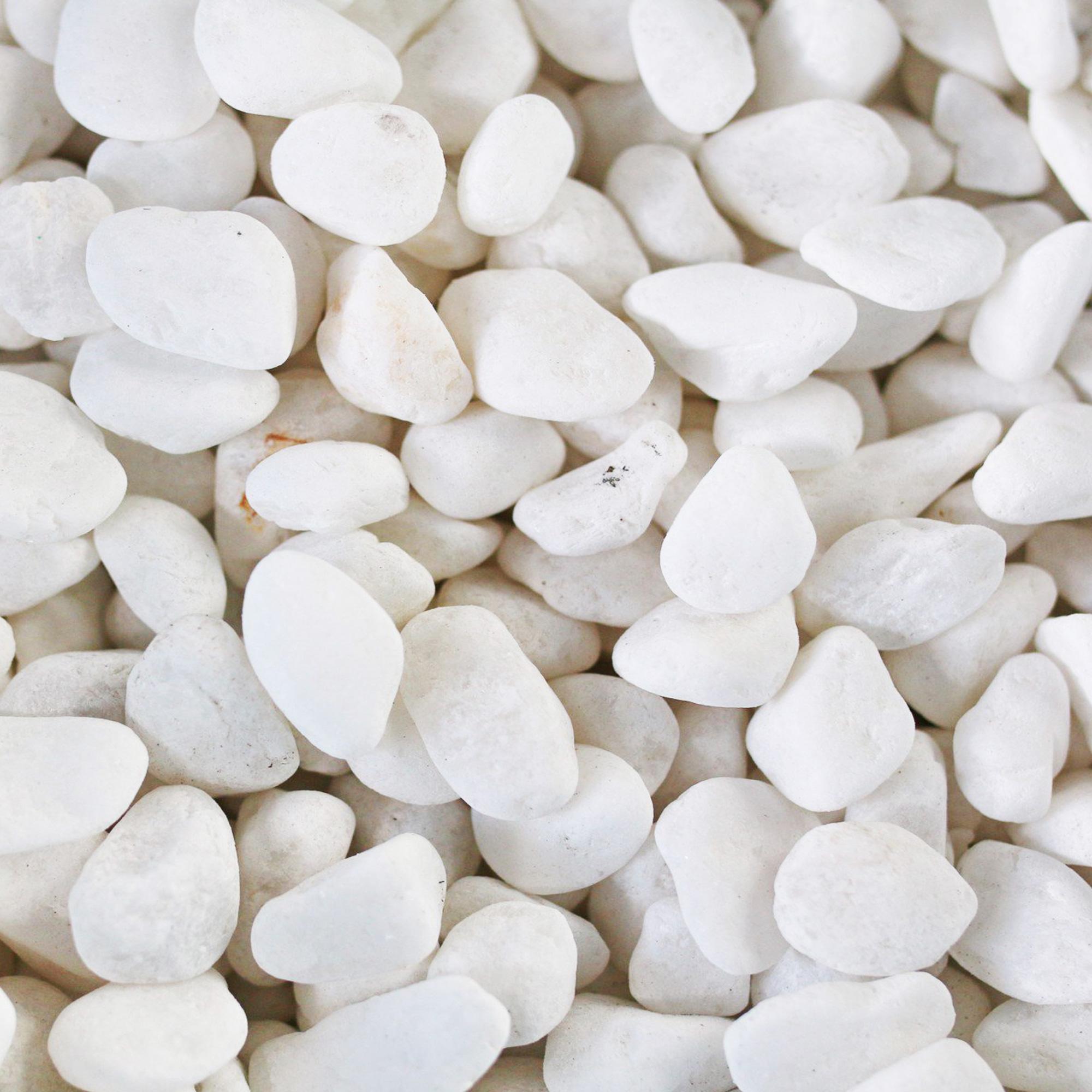 1kg Sỏi Trắng Viên Vừa Trang Trí Hồ Cá - Phụ Kiện Bể Cá Trang Trí Tiểu Cảnh