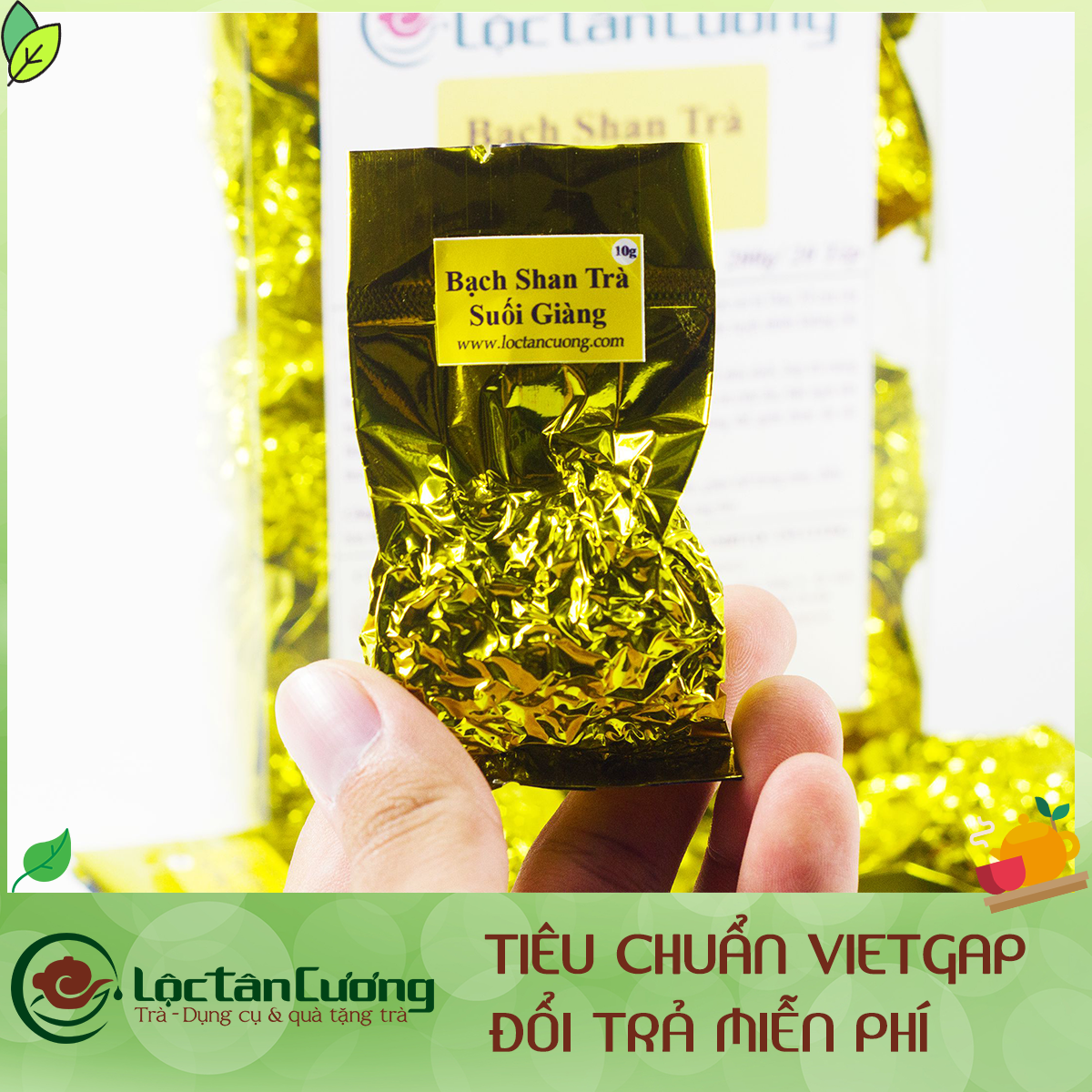 (Mẫu Thử) Bạch Shan Trà Suối Giàng - Trà Cổ Thụ - Lộc Tân Cương