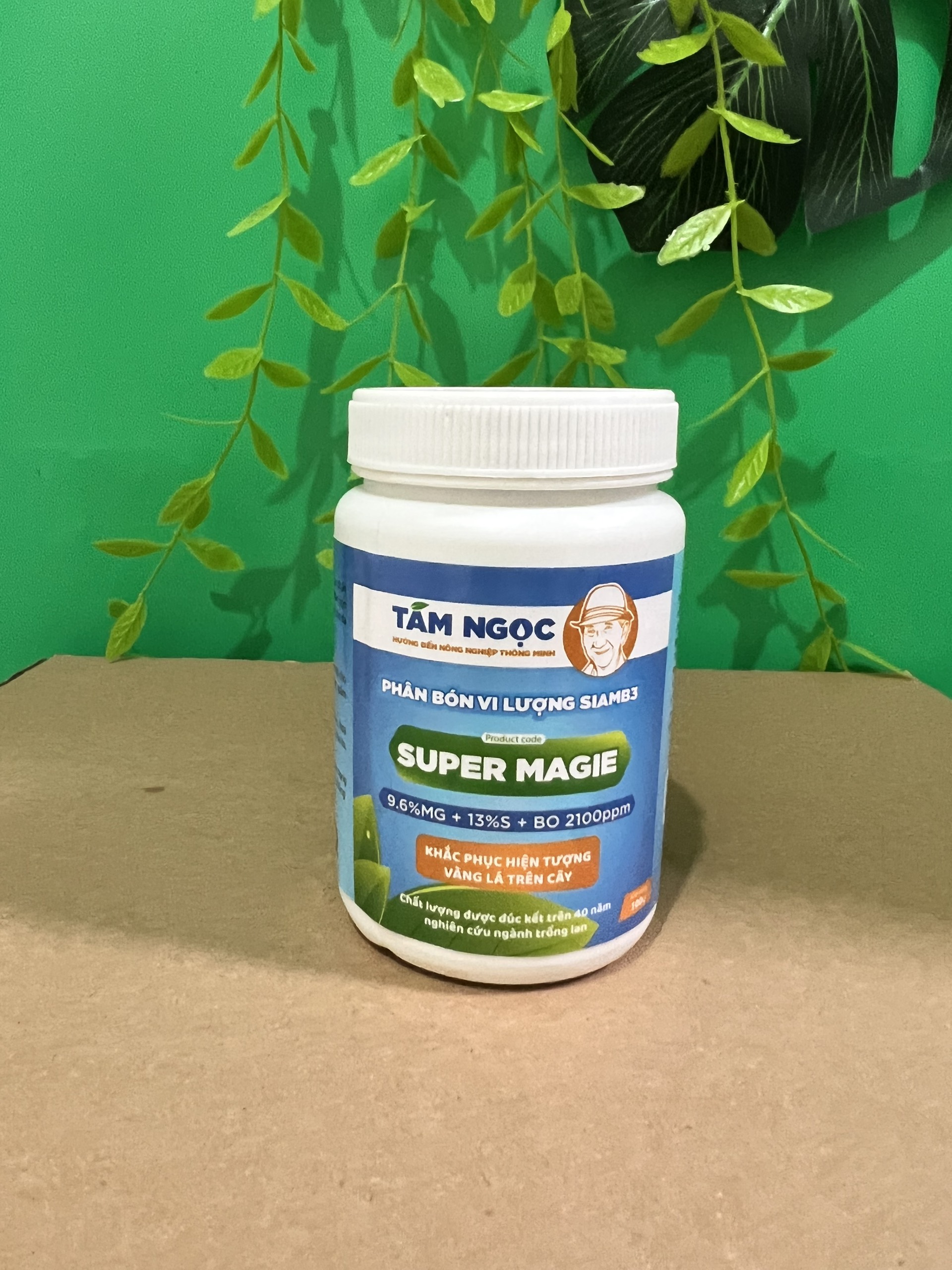 Super magie thầy Tám Ngọc khắc phục hiện tượng vàng lá dành cho hoa lan, cây cảnh