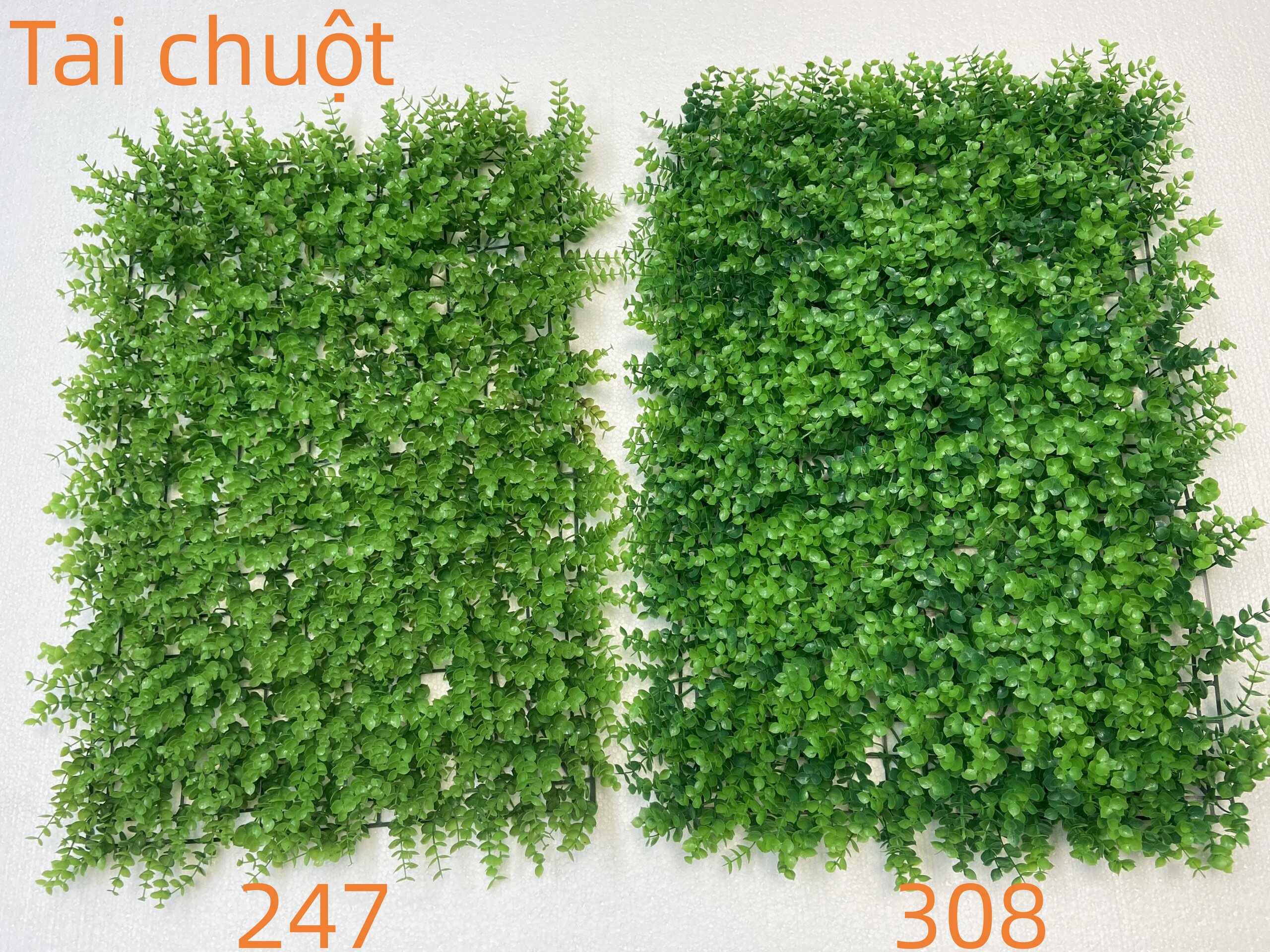 Tấm vỉ cỏ nhựa tai chuột 247, tai chuột 308 - 1tấm làm Tường cây giả trang trí, tấm cỏ nhựa treo tường