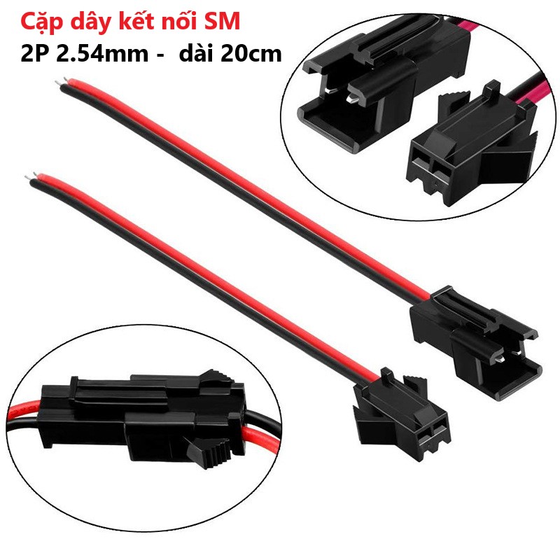 Cặp dây kết nối sm 2p 2.54mm - dây dài 20cm