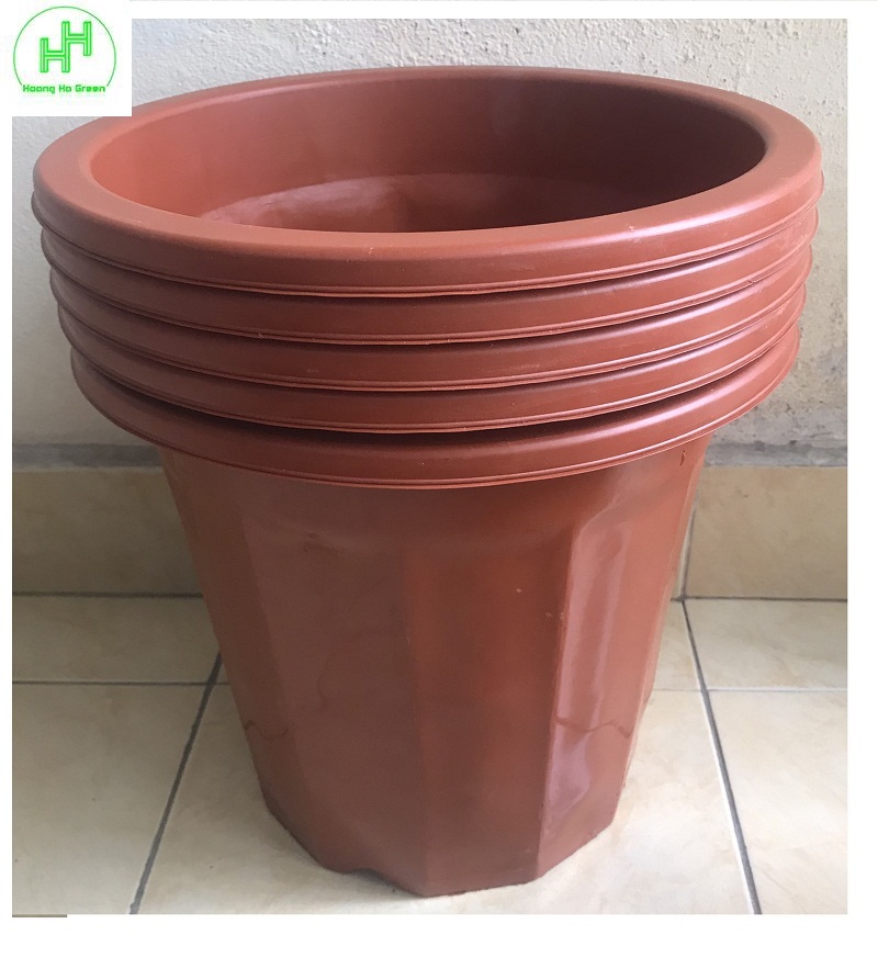 5 chậu nhựa trồng hoa, cây cảnh e350 cn màu nâu
