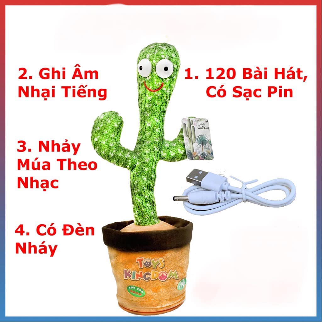 Xương rồng nhảy múa có sạc pin