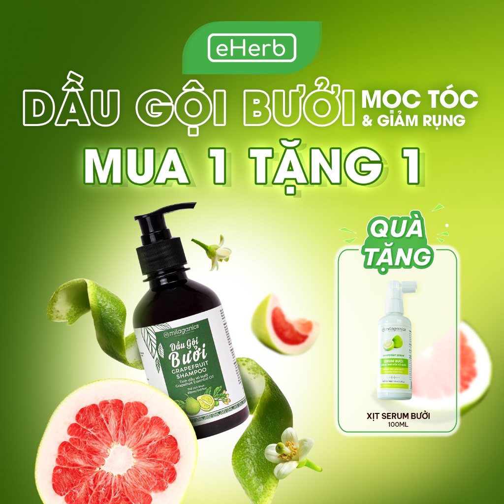 SIÊU TIẾT KIỆM Dầu Gội Bưởi Kích Thích Mọc Tóc Ngừa Rụng Thiên Nhiên Hiệu Quả Sau 3 Tuần MILAGANICS 750ml Chai