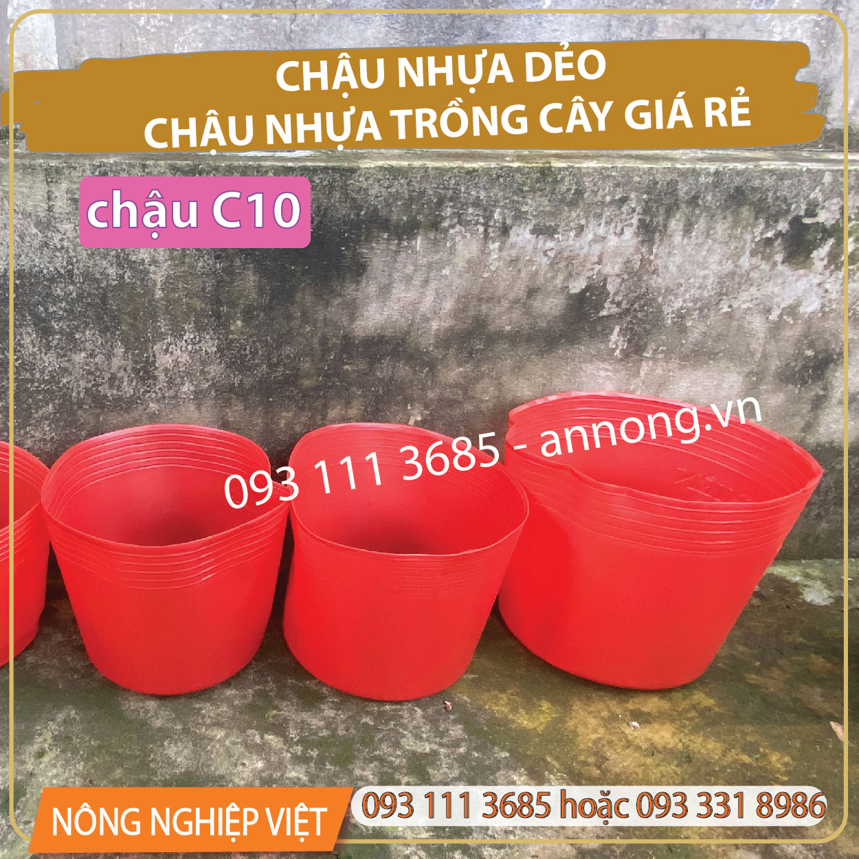 Chậu nhựa đen/đỏ c10 - chậu trồng vạn thọ 2 gốc, 3 gốc, chậu nhựa trồng cây, chậu mũ đen