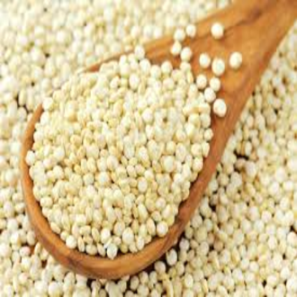 Hạt quinoa trắng nam mỹ - hàng chuẩn chính gốc 500g