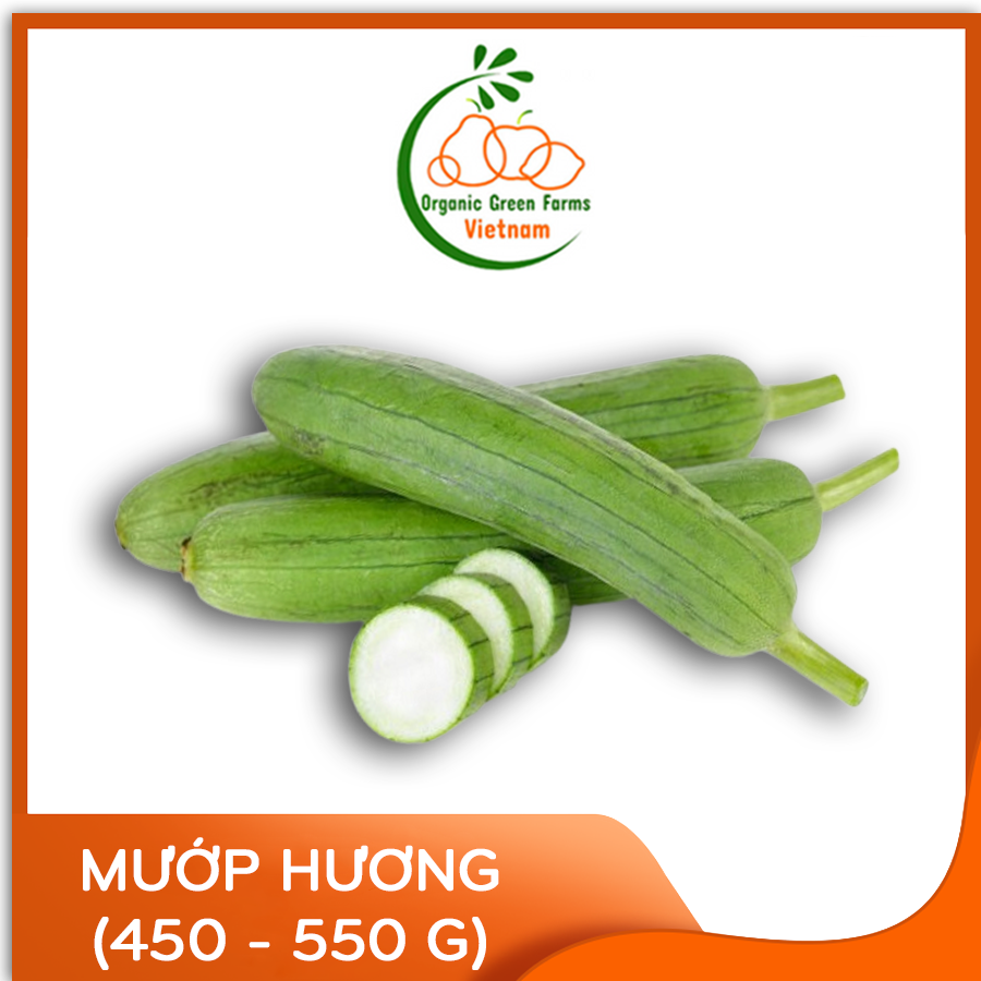 [OGF] - Mướp hương nguyên trái (450g-550g) - [Giao nhanh TPHCM]