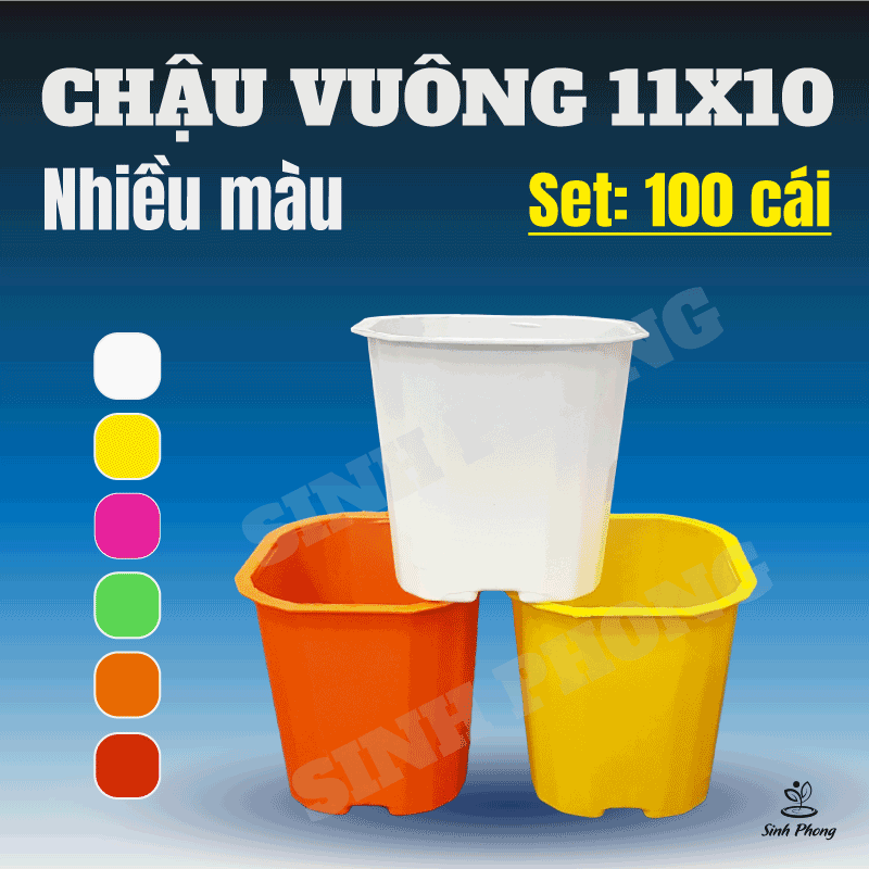 Chậu vuông 11x10 nhiều màu - set 100 cái  - Sản phẩm chất lượng - gian hàng uy tín - giá luôn tốt - mua ngay kẻo lỡ !