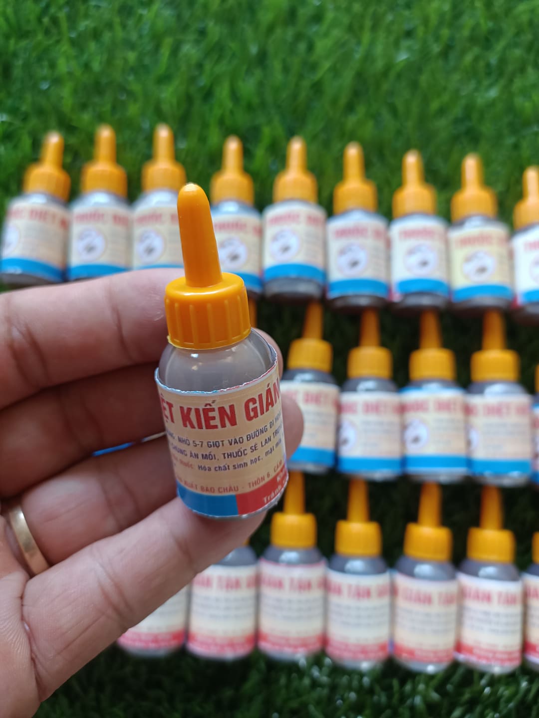4 lọ thuốc diệt thuốc kiến gián tận gốc sinh học
