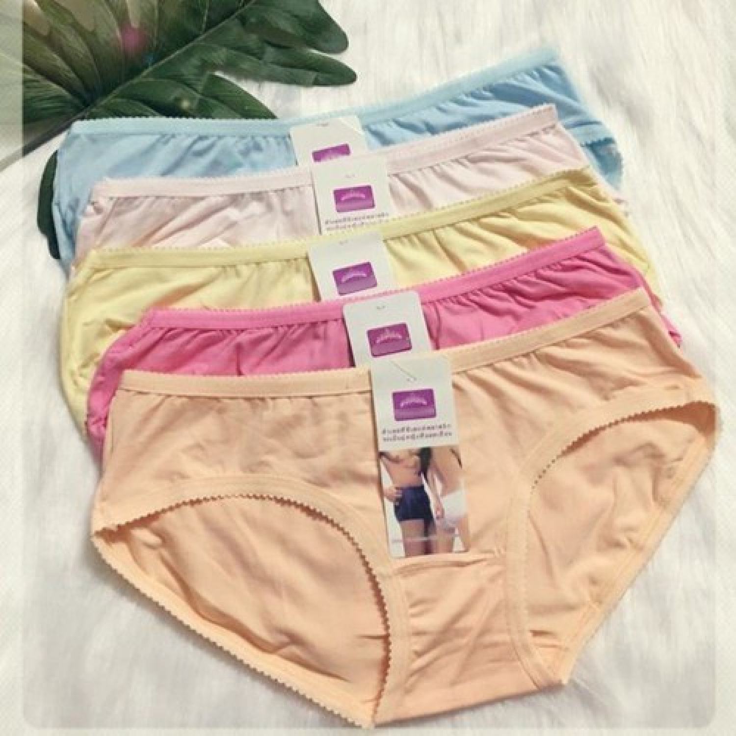 Set 5 quần sịp nữ quần lót nữ cotton thá¡ cao cấp kháng khuẩn khử mùi quần xì đồ lót nữ